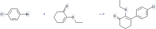 2-Cyclohexen-1-one, 2-ethoxy- can react with 1-Bromo-4-chloro-benzene to get 3-(4-Chloro-phenyl)-2-ethoxy-cyclohex-2-enone.